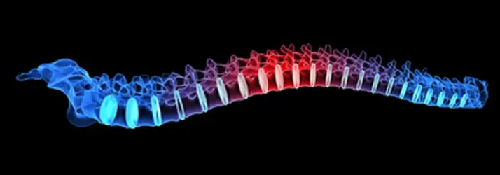 low back pain relief with chiropractic care