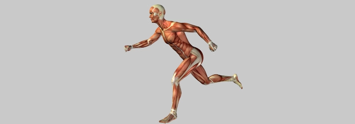 low back pain relief with chiropractic care