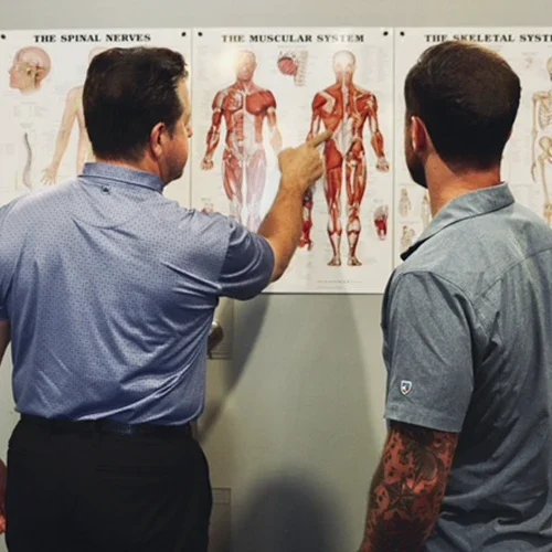Two adults standing in front of wall charts, one pointing at a muscular system diagram with labeled body illustrations.